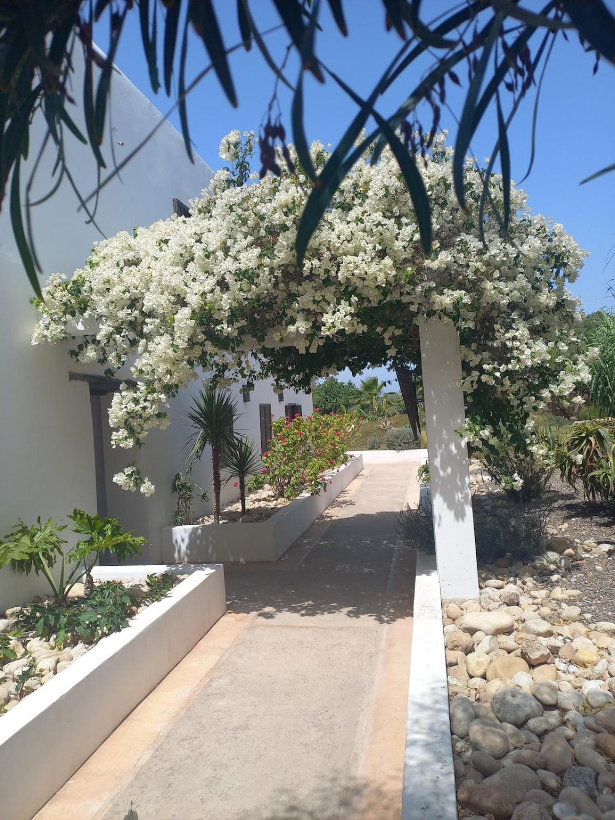 Hotel Les Jardins De Silona, Piscine Chauffee As-Suwajra Zewnętrze zdjęcie