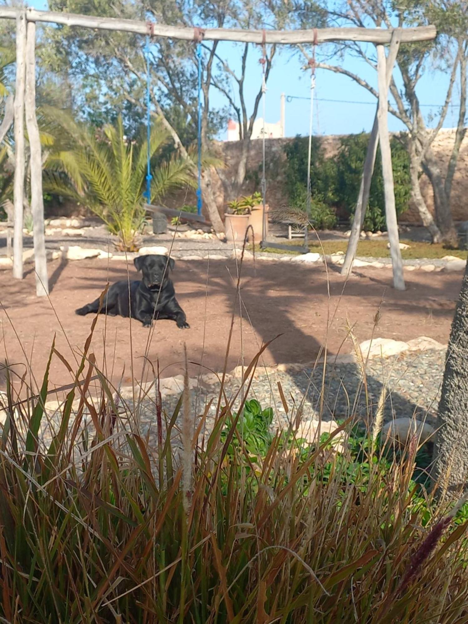 Hotel Les Jardins De Silona, Piscine Chauffee As-Suwajra Zewnętrze zdjęcie